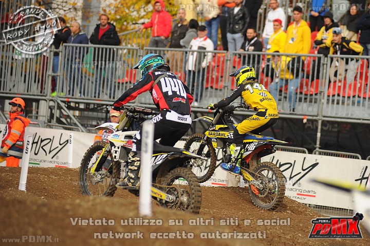 DSC_8950 (Copy).jpg